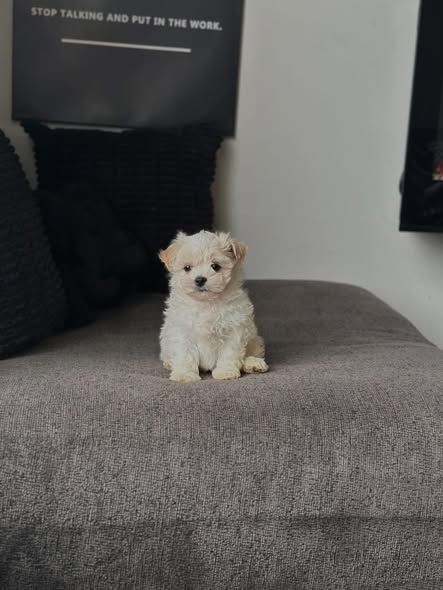 max